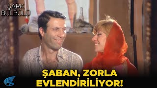 Şark Bülbülü Türk Filmi | Şaban, Zorla Evlendiriliyor!