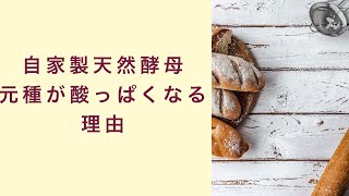 【自家製天然酵母】元種が酸っぱくなる理由　フルーツ酵母　自家製天然酵母　パン教室　教室開業　大阪　奈良　東京　名古屋　オンライン講座