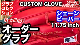 オーダーグラブ Rawlings HOH 投手用シェーンビーバーモデル Custom Glove【#3477】