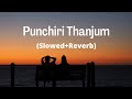 Punchiri Thanjum (Slowed+Reverb) Full song From Bicycle Thieves Malayalam filim