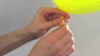 Balloon Cups and Balloon Sticks | BalloonsAndWeights.com