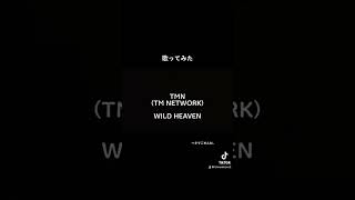 TMN(TM NETWORK)の「WILD HEAVEN」を歌ってみた。