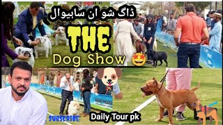Dog Show 2023- Dog show in Sahiwal-German shepherd dog-pitbull dog-Labrador-Dog show | Daily Tour pk