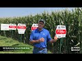 Southeast Nebraska Virtual Field Day