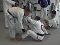 Leonardo Vieira BJJ Sweep