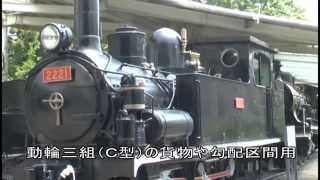 列車で行こう（２１）ーＳＬ（蒸気機関車）がいっぱい～８両のＳＬと仲間達（青梅鉄道公園）