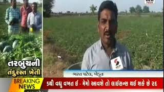 તરબૂચની તંદુરસ્ત ખેતી - મહેસાણા ॥ Sandesh News | Cyclone Tauktae