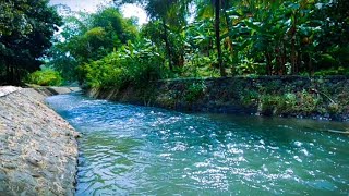 The sound of soft flowing water for relaxing sleep | ASMR river water sound