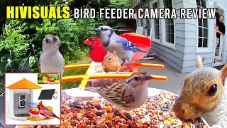 HiVisuals Bird Feeder Camera Unboxing and Product Review! L@@K What Showed Up to EAT!!! Birds \u0026 More