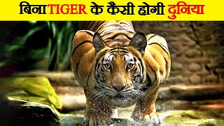 Tiger को बचाना क्यों ज़रूरी है? | Why do We Need to Save the Tiger