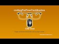 CSS Grid | Align All Items Vertically using align-items | freeCodeCamp | 13 of 22