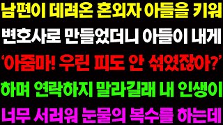 (실화사연) 남편이 데려온 혼외자 아들을 키워 변호사 만들었더니 '아줌마! 우린 피도 안 섞였잖아?' 하며 연을 끊자고 하는데 / 사이다 사연,  감동사연, 톡톡사연