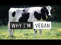 Things I Wish I Knew Before Going Vegan