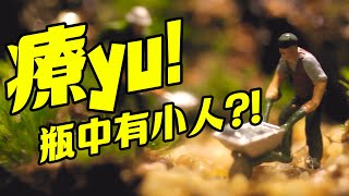 【植系學姐】苔蘚缸DIY🌱！缸中小雨林，罐裡小天地！