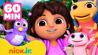 Dora | Os Ousados Resgates de Animais da Dora! #2 😺 1 Hora | Nick Jr. em Português