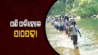 Students Cross River \u0026 Forest To Reach School In Pallahara