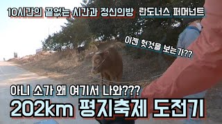 란도너스 퍼머넌트 PT-45 평지축제 202km의 시간과 정신의 방! 근데 왠 황소??