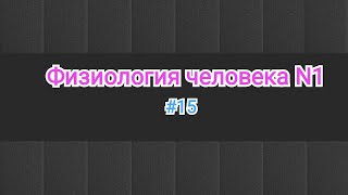 Физиология ЦНС -1 часть.  Классификация нейронов, исходя из их функции. #15