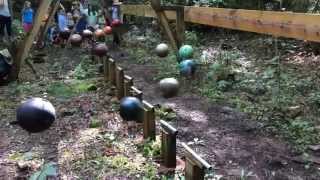 Pendulum Wave Demonstration