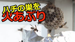 ハチの巣を火あぶりで駆除してみた　蜂の巣駆除