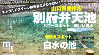 山口県美祢市【別府弁天池】【白水の池】エメラルドグリーンは角島だけじゃない！美祢のパワースポット　美しい湧水！