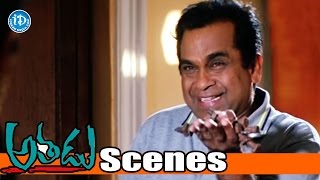 Athadu Movie Scenes - Brahmanandam And Trisha Murder Plan - Trisha | Trivikram | Sunil