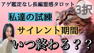 【見た時がタイミング🔔】私達のサイレント期間😭課題😭試練いつ終わる❓ツインレイ/ソウルメイト/運命の相手/複雑恋愛/曖昧な関係/復縁/片思い/音信不通/ブロック解除/恋愛/結婚/占い/リーディング