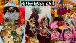 उत्पन्ना एकादशी विशेष- राधा गोविंद जी का श्रिंग़ार,पूजा,आरती,भोग || Utpanna Ekadashi Vlog