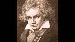 Ludwig Van Beethoven 9. Senfoni