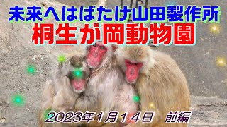 桐生が岡動物園　2023年1月14日・前編　\