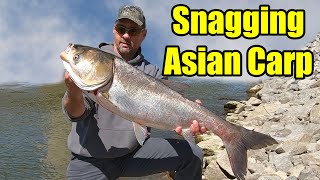 Fish Snagging 101 - Snagging Silver & Bighead Asian Carp