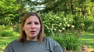 Canvas Parent Tutorial