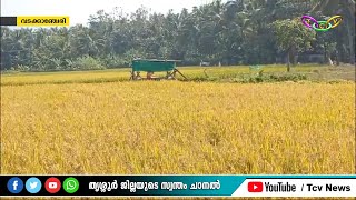 പാട ശേഖരങ്ങളിലെ ശല്യം ചെയ്യുന്ന കാട്ടുപന്നികളെ വെടിവെച്ച് കൊല്ലാൻ തീരുമാനം.