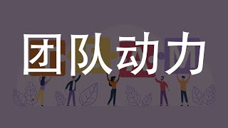 团队动力之道：领导者的成功秘诀