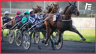 Horsy Dream - Prix d'Amérique Races Zeturf Q6 - Prix de Belgique (Gr.2) - Vincennes - 15.01.2023