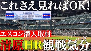 【貴重】清原豪快HRの舞台裏…エスコンフィールド潜入取材！六大学応援歌続々これさえ見れば現地観戦気分！＃清原正吾＃慶應＃早稲田＃明治＃法政＃立教＃東大＃大学野球＃北海道＃日本ハム＃ホームラン#斎藤佑樹