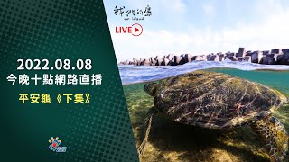 【#直播放映室】2022.8.8  週一晚間十點｜公視 我們的島