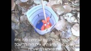 השועל והתיש אריאלה נעה ואסתי 2014 תשעד