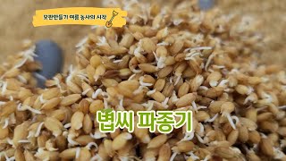 못자리 육묘용 볍씨파종기 모판 1024개 쉽게작업