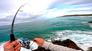 Rock Fishing for Tropical Australian Fish! (NOOSA HEADS - LAND BASED)