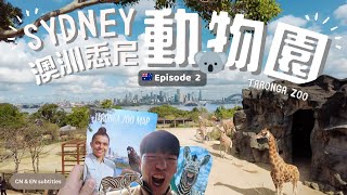 【悉尼自由行 2】悉尼城市動物園 | Sydney Taronga Zoo | 荒失失奇兵 | Darling Harbour 意大利餐廳 | 澳洲旅行 | SYDNEY | AUSTRALIA