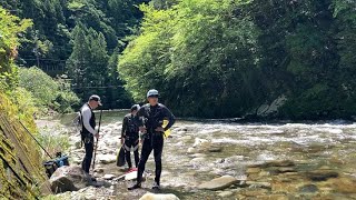 【鮎釣り】2024.6.10 四村川へ　※最後まで見ないでください