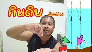 ชิงหลิววิธีการตั้งตกแบบกินดิบ