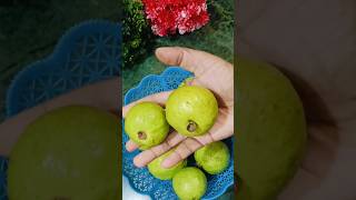 मसाला अमरूद की रेसिपी। #guava #amroodchaat #shorts #fruit #healthy #shortvideo #viralreels #ytshorts