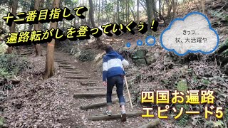 【お遍路の旅～EP5～】遍路転がしを登って、いざ十二番へ！山の上のお寺はありがたい！