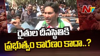 రాష్ట్రంలో ఏ పంటకు గిట్టుబాటు ధర లేదు.. | YS Jagan Guntur | YSRCP | Ntv