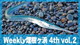 Weekly煙樹ヶ浜4th vol.2(2025/01/20)海水温の影響！？過去最大のダツ祭で釣りになりません。