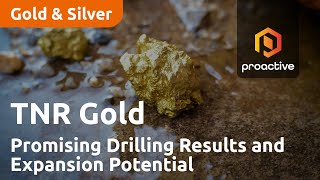 TNR Gold Corp.: Promising Drilling Results and Expansion Potential at Los Azules Copper Project