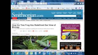 Opening Link in a New Tab vs a Window