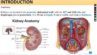 Renal Disease and Anesthesia